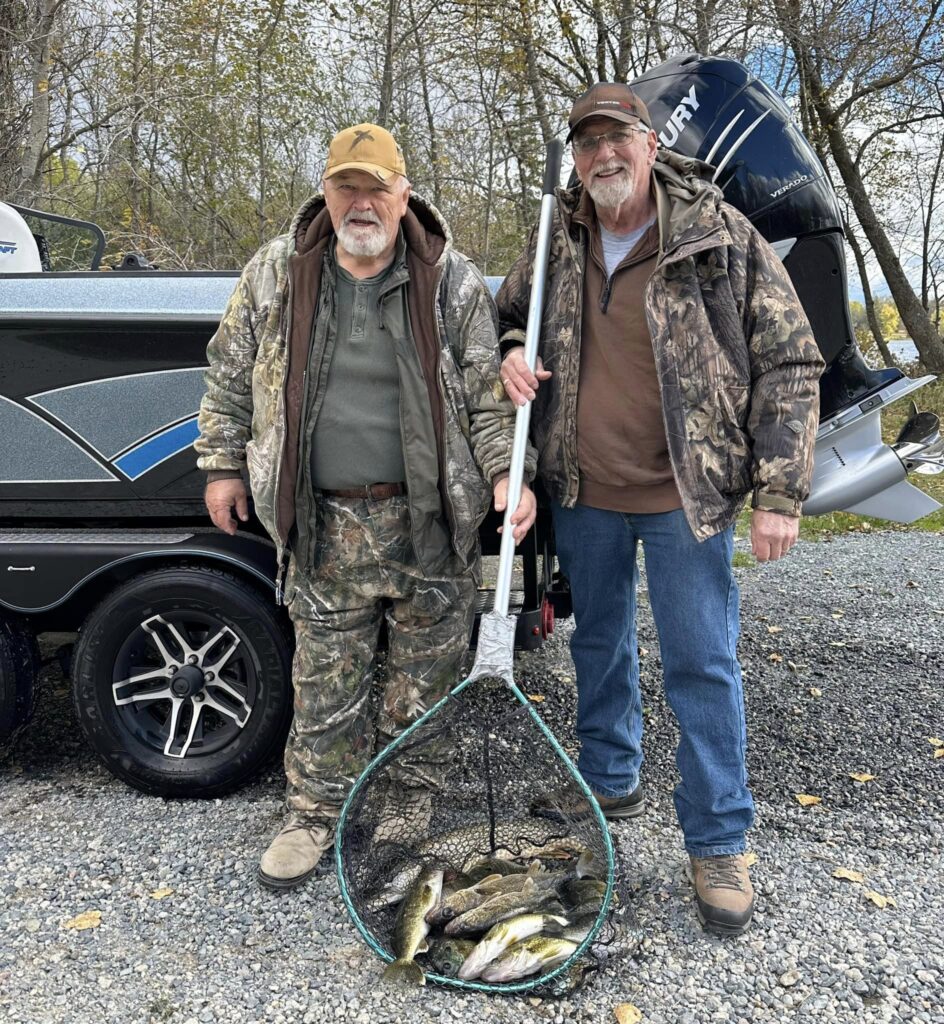 They still got it! Nice limit of walleyes going home with the clients of Cass Lake Area Guide Service.