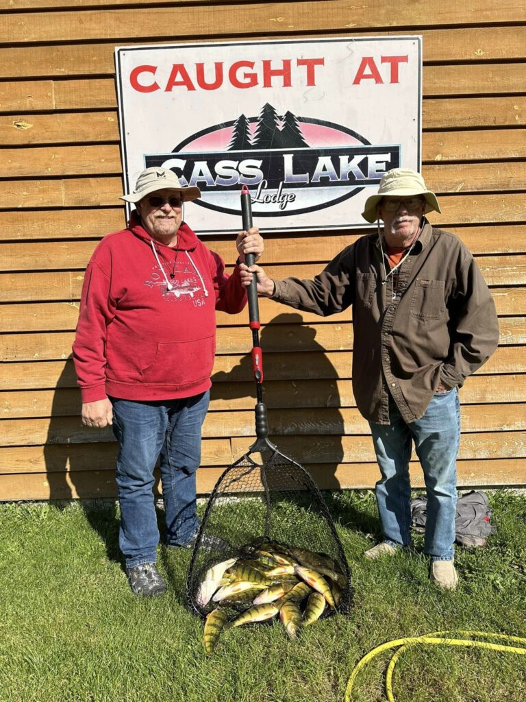 Guests of Cass Lake Lodge and Cass Lake Area Guide Service clients with a net full of Cass Lake Jumbo perch.