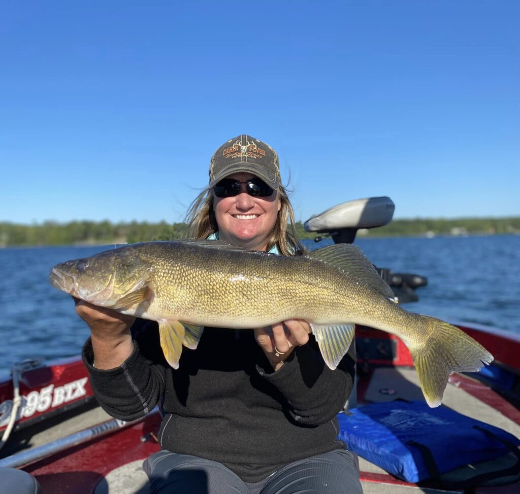 Monster Walleye caught on Lake Bemidji during a fishing guide trip with Cass Lake Area Guide Service.