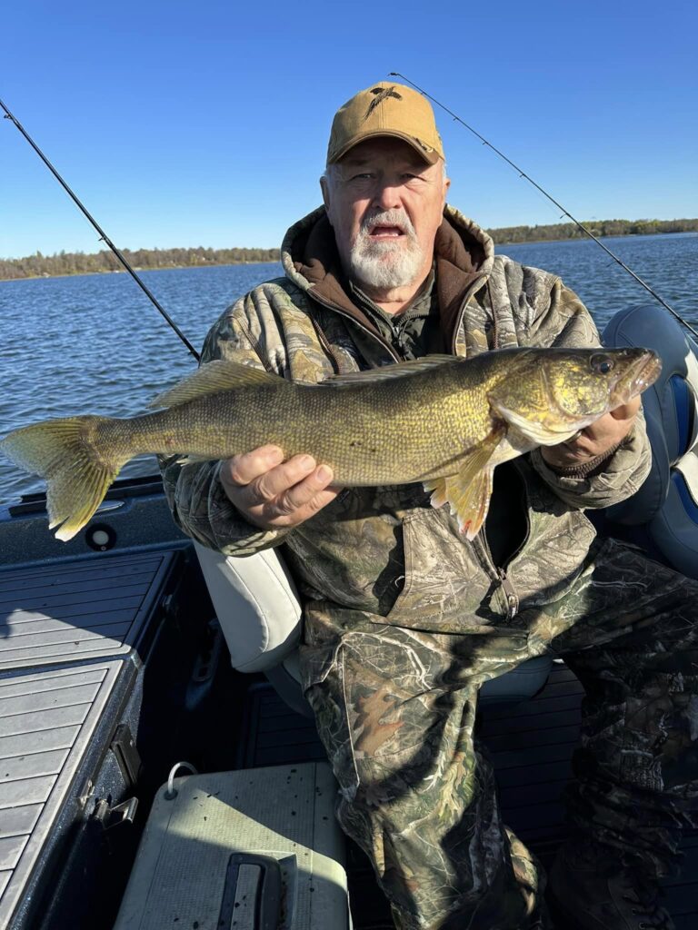 Another big Cass Lake walleye caught on a guide trip.