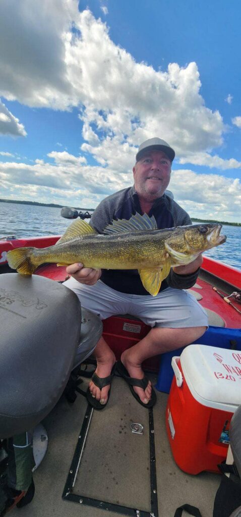 Big walleye on Leech Lake during a guide trip.